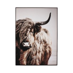 CANVAS PHOTO PICTURE HIGHLAND COW 